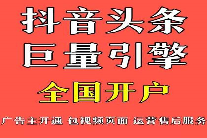 百度竞价排名机制：成功案例与策略探讨